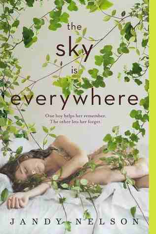 The Sky Is Everywhere by Jandy Nelson