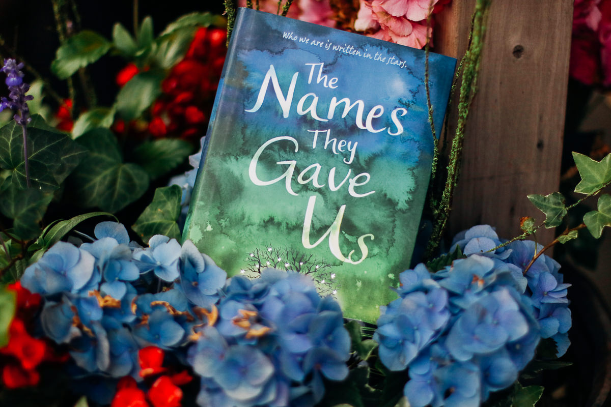 The Names They Gave Us by Emery Lord